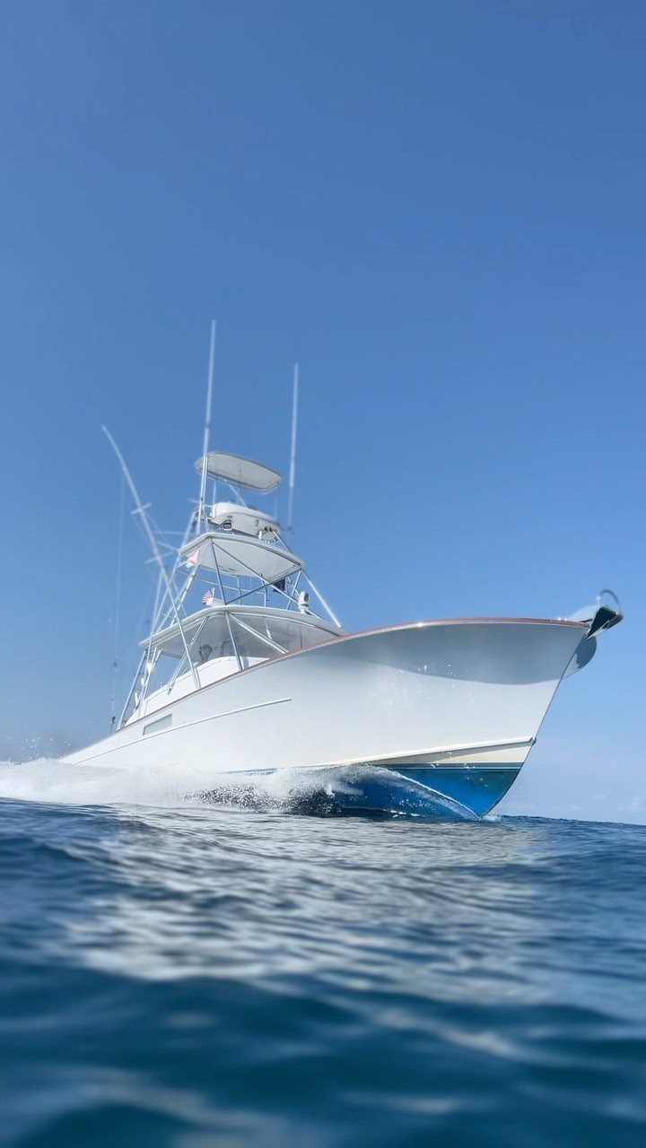 The freshest and cleanest. Who can name the make and model of this legendary sportfish? 

Some #iPhone action while in the water with the @sony A7Siii and @aquatech_imagingsolutions housing. 

#fresh #clean #offshore #sportfish #fishing #ocean #boat #boating #videography #water #professional
